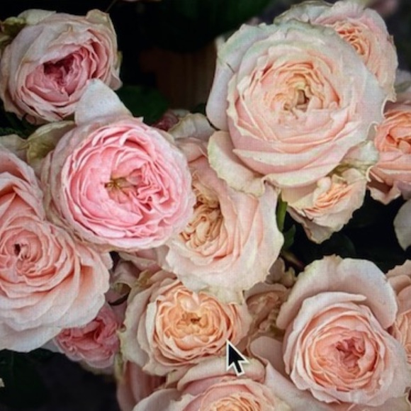 Vintage Movie Star Pink Peignoir Set - Picture 12 of 12